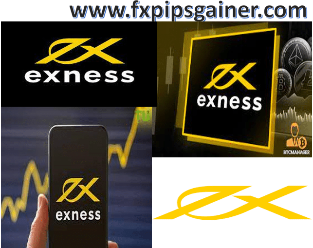Exploring the Benefits of Exness Forex Broker