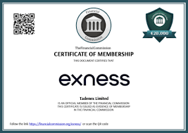 Understanding Exness Trading Instruments for Effective Trading